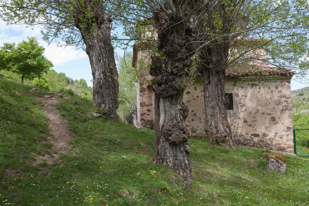 Posada De Urreci Aldeanueva de Cameros 外观 照片
